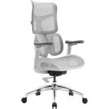Купить Кресло офисное Sihoo DORO S100 Mesh White (S100-M302) - фото 5