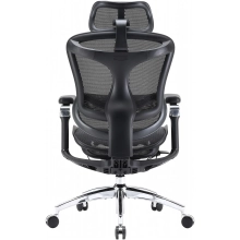 Купить Кресло офисное Sihoo DORO C300 Pro Mesh Black (DORO-C300-PRO-M101) - фото 2
