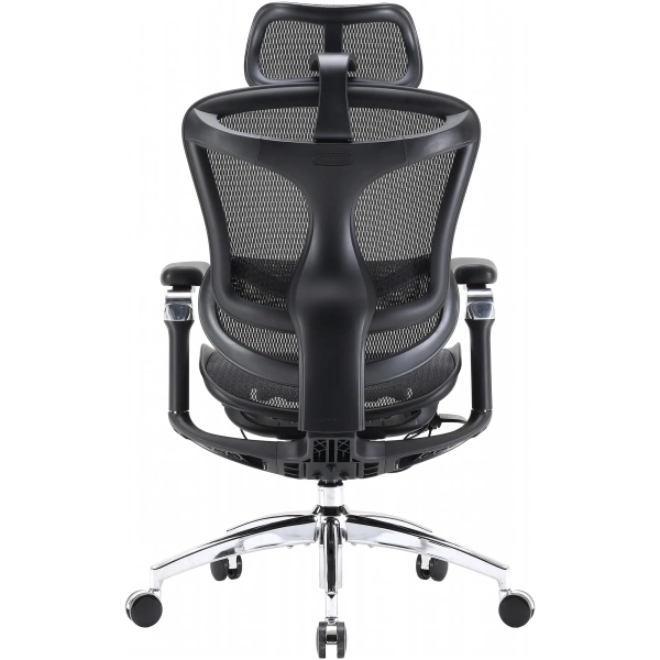 Купить Кресло офисное Sihoo DORO C300 Pro Mesh Black (DORO-C300-PRO-M101) - фото 2