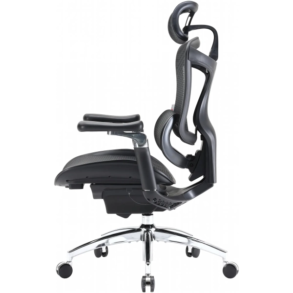 Купить Кресло офисное Sihoo DORO C300 Pro Mesh Black (DORO-C300-PRO-M101) - фото 3