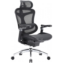 Купить Кресло офисное Sihoo DORO C300 Pro Mesh Black (DORO-C300-PRO-M101) - фото 5