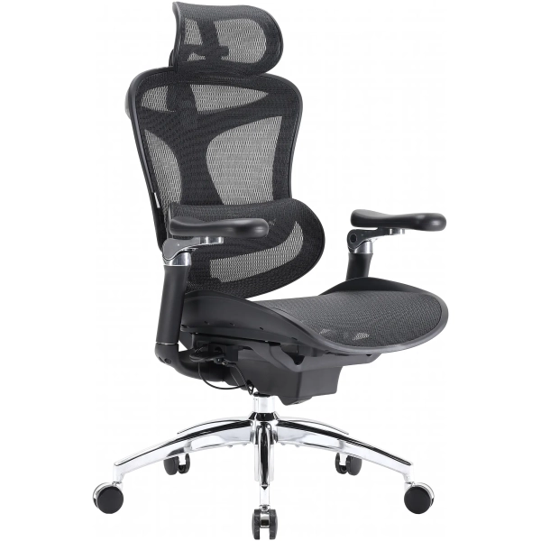 Купить Кресло офисное Sihoo DORO C300 Pro Mesh Black (DORO-C300-PRO-M101) - фото 5