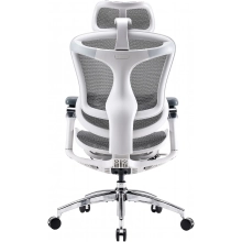 Купить Кресло офисное Sihoo DORO C300 Pro Mesh White (DORO-C300-PRO-M102) - фото 2