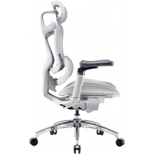 Купить Кресло офисное Sihoo DORO C300 Pro Mesh White (DORO-C300-PRO-M102) - фото 3
