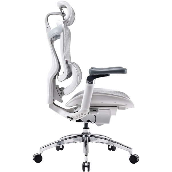 Купить Кресло офисное Sihoo DORO C300 Pro Mesh White (DORO-C300-PRO-M102) - фото 3