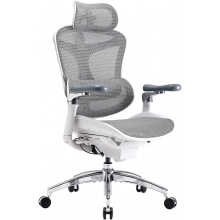 Купить Кресло офисное Sihoo DORO C300 Pro Mesh White (DORO-C300-PRO-M102) - фото 5