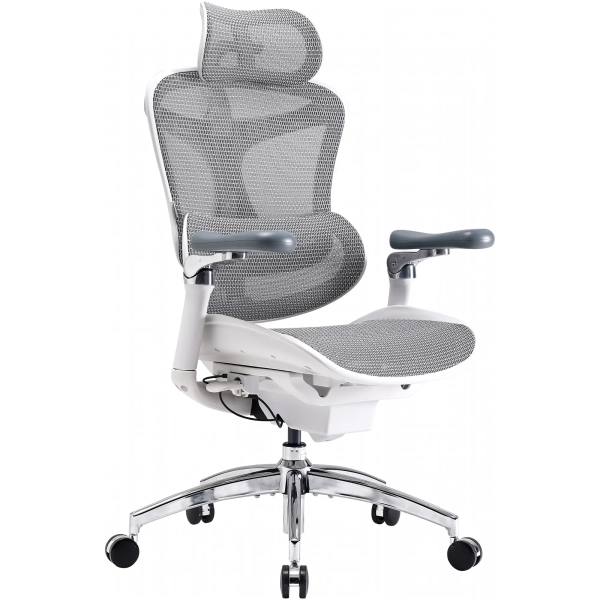 Купить Кресло офисное Sihoo DORO C300 Pro Mesh White (DORO-C300-PRO-M102) - фото 5