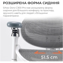 Купить Кресло офисное Sihoo DORO C300 Pro Mesh White (DORO-C300-PRO-M102) - фото 14