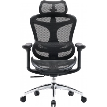 Купить Кресло офисное Sihoo DORO C300L Mesh Black (DORO-C300L-A3-101) - фото 1