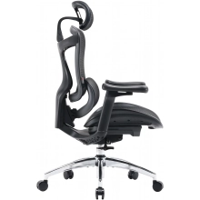 Купити Крісло офісне Sihoo DORO C300L Mesh Black (DORO-C300L-A3-101) - фото 3