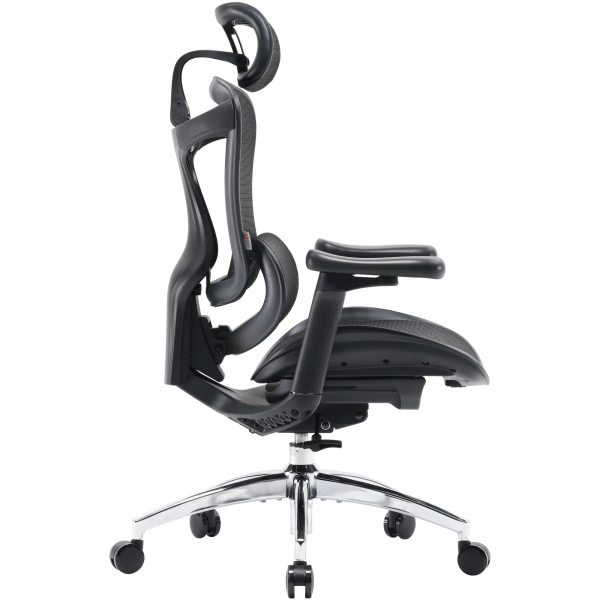 Купити Крісло офісне Sihoo DORO C300L Mesh Black (DORO-C300L-A3-101) - фото 3