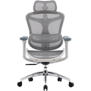 Купити Крісло офісне Sihoo DORO C300L Mesh White (DORO-C300L-A3-102) - фото 1