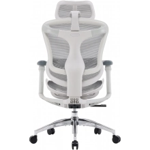 Купити Крісло офісне Sihoo DORO C300L Mesh White (DORO-C300L-A3-102) - фото 2