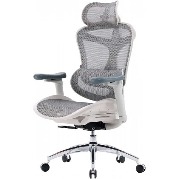 Купити Крісло офісне Sihoo DORO C300L Mesh White (DORO-C300L-A3-102) - фото 4