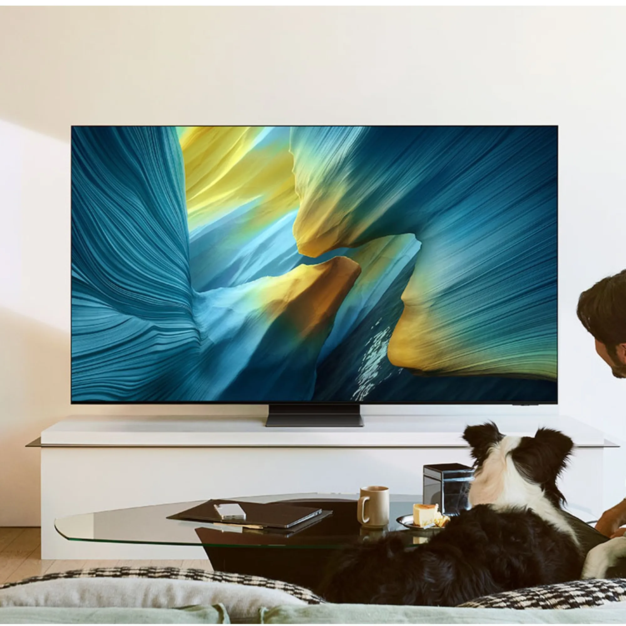 Купить Телевизор Samsung QE65S95FAUXUA - фото 5