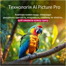 Купить Телевизор LG 50QNED86A6C - фото 14