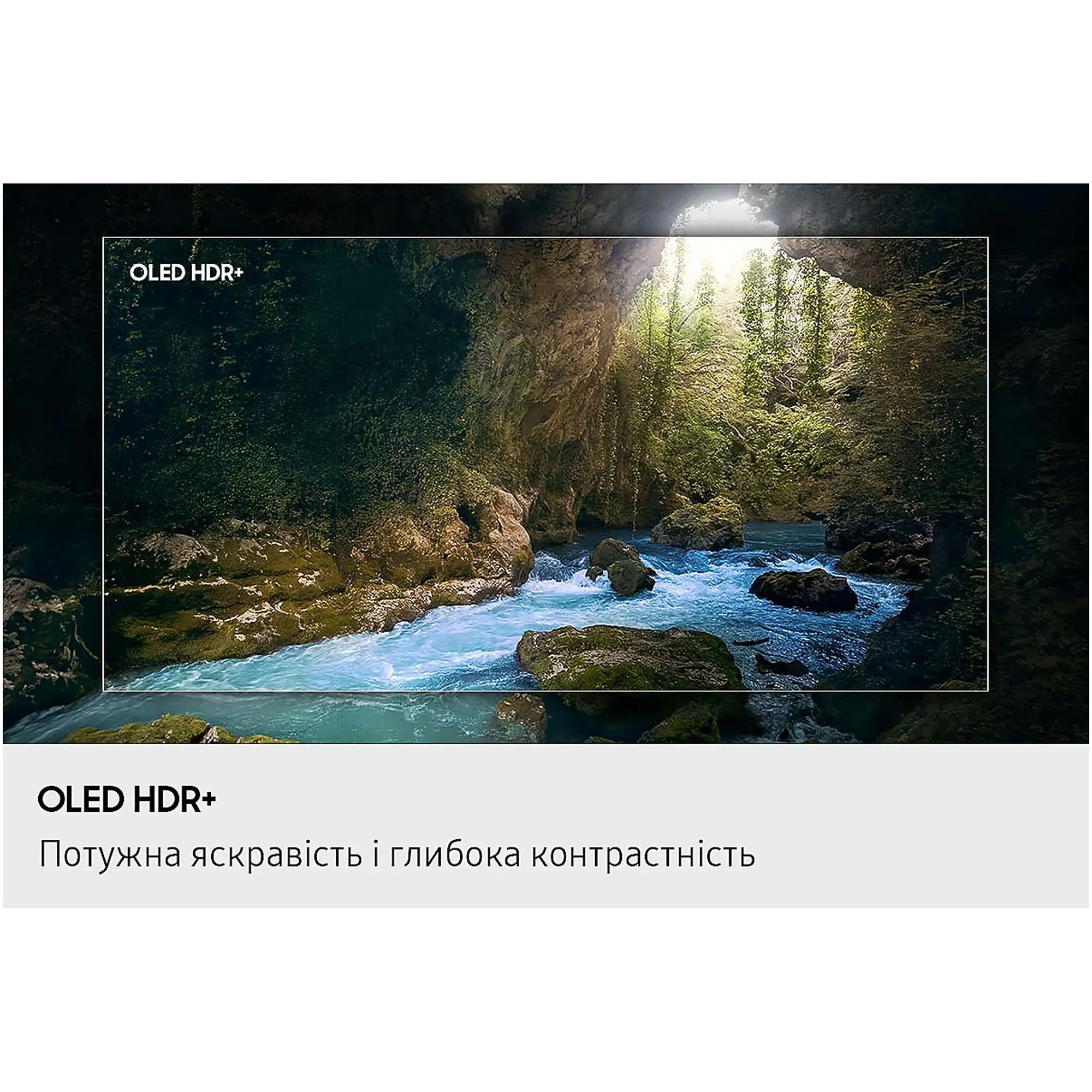 Купити Телевізор Samsung QE65S90FAUXUA - фото 8