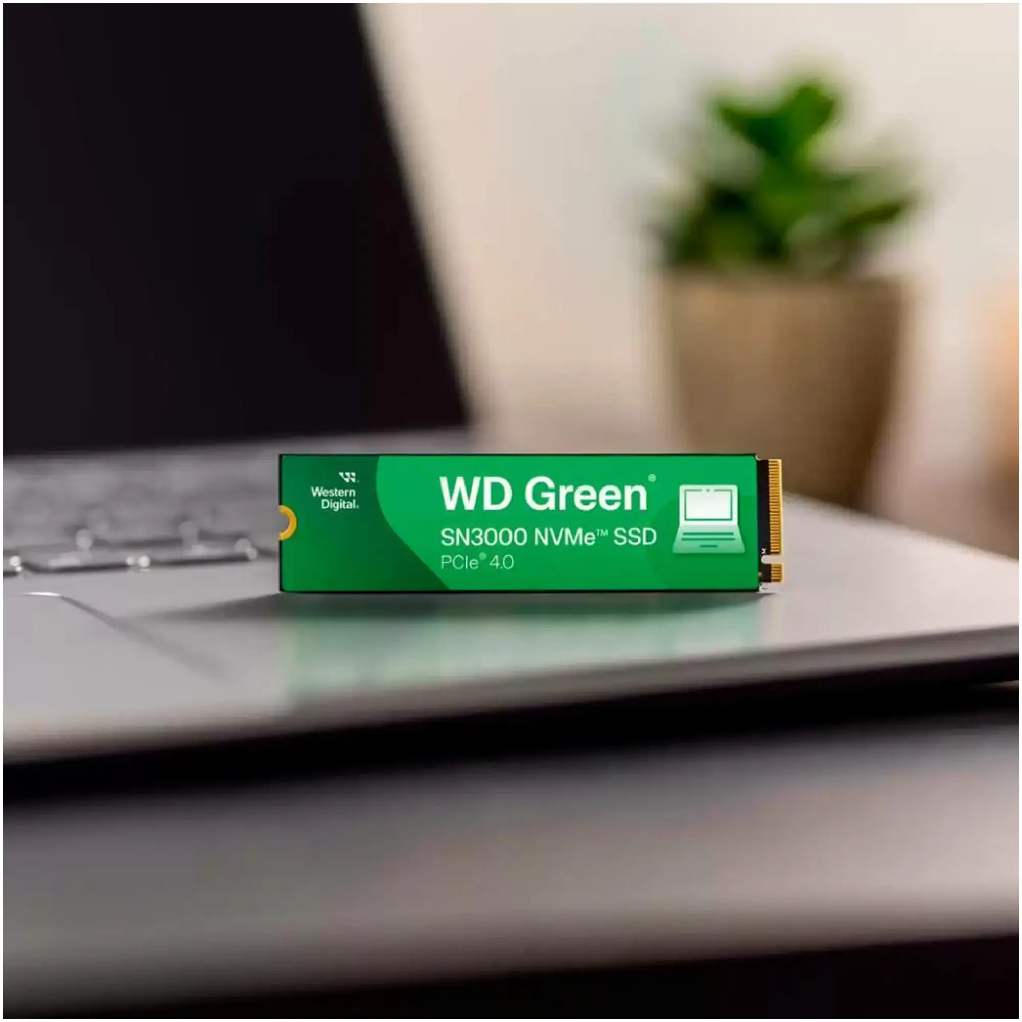 Купить SSD диск WD Green SN3000 1 TB (WDS100T4G0E) - фото 3