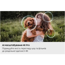 Купить Телевизор Samsung Neo QLED QN80F (QE100QN80FUXUA) - фото 7