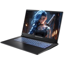 Купить Ноутбук Dream Machines RG5050-17 (RG5050-17UA28) - фото 3