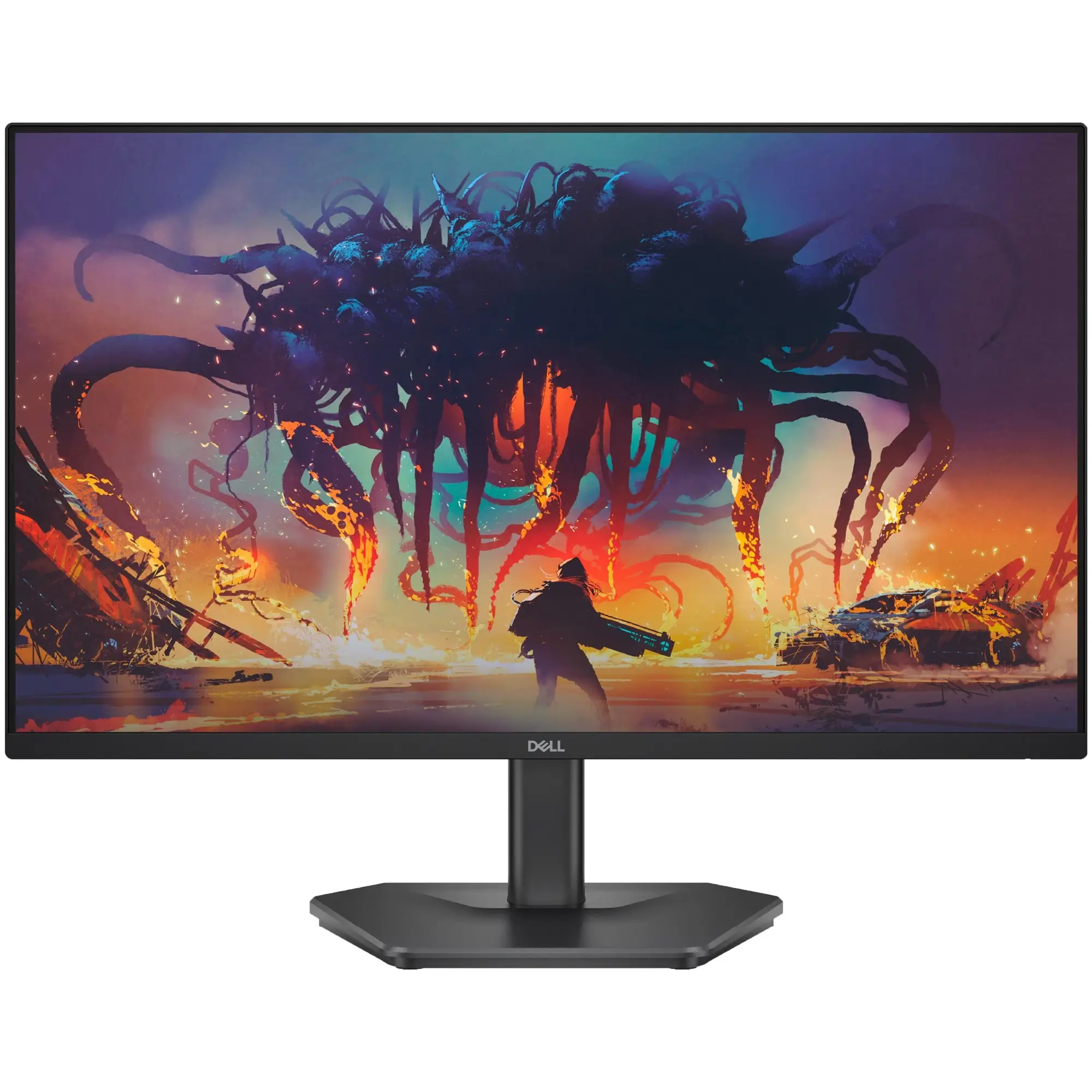 Купити Монітор 24" Dell SE2425HG (210-BSNR) - фото 1