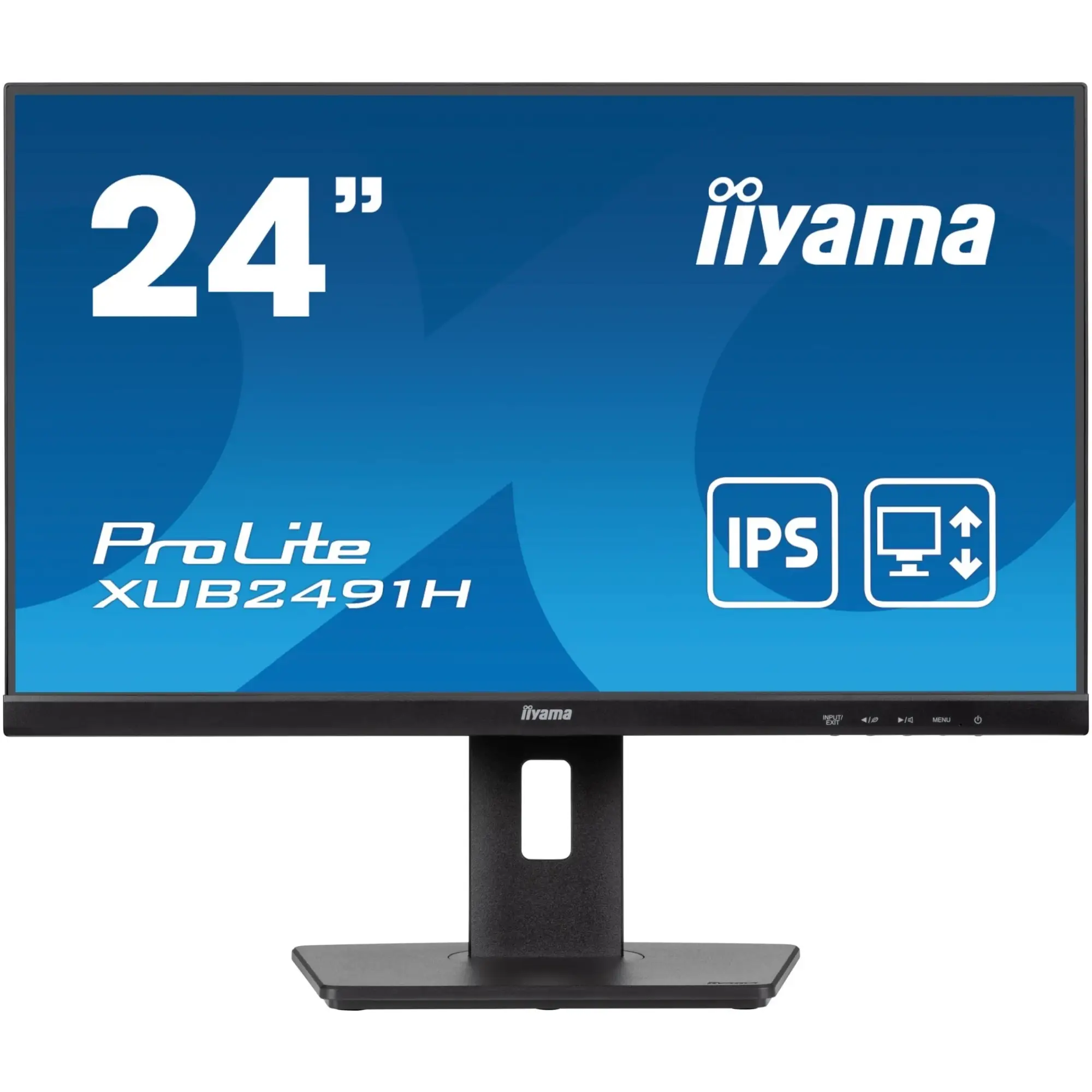 Купить Монитор 24" Iiyama ProLite XUB2491H (XUB2491H-B1) - фото 1
