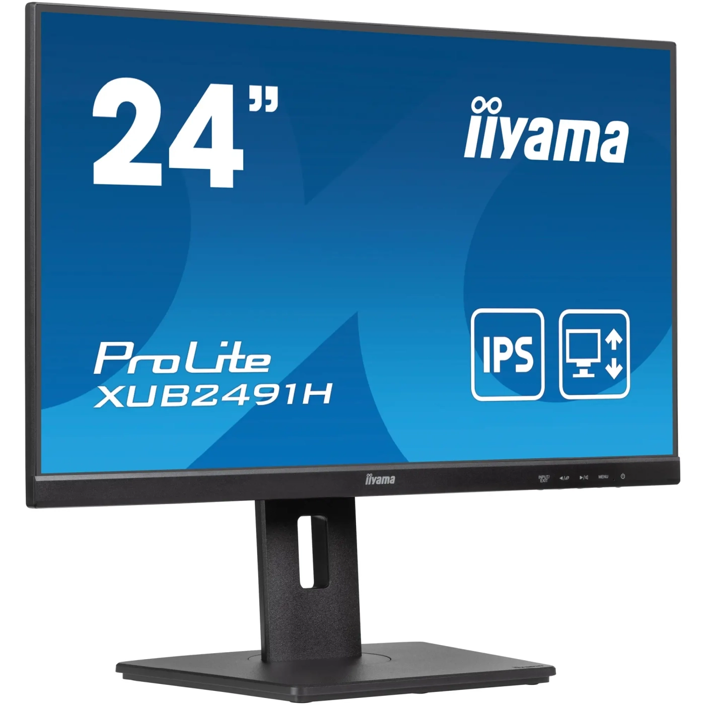 Купить Монитор 24" Iiyama ProLite XUB2491H (XUB2491H-B1) - фото 2