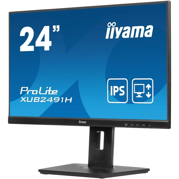 Купить Монитор 24" Iiyama ProLite XUB2491H (XUB2491H-B1) - фото 3