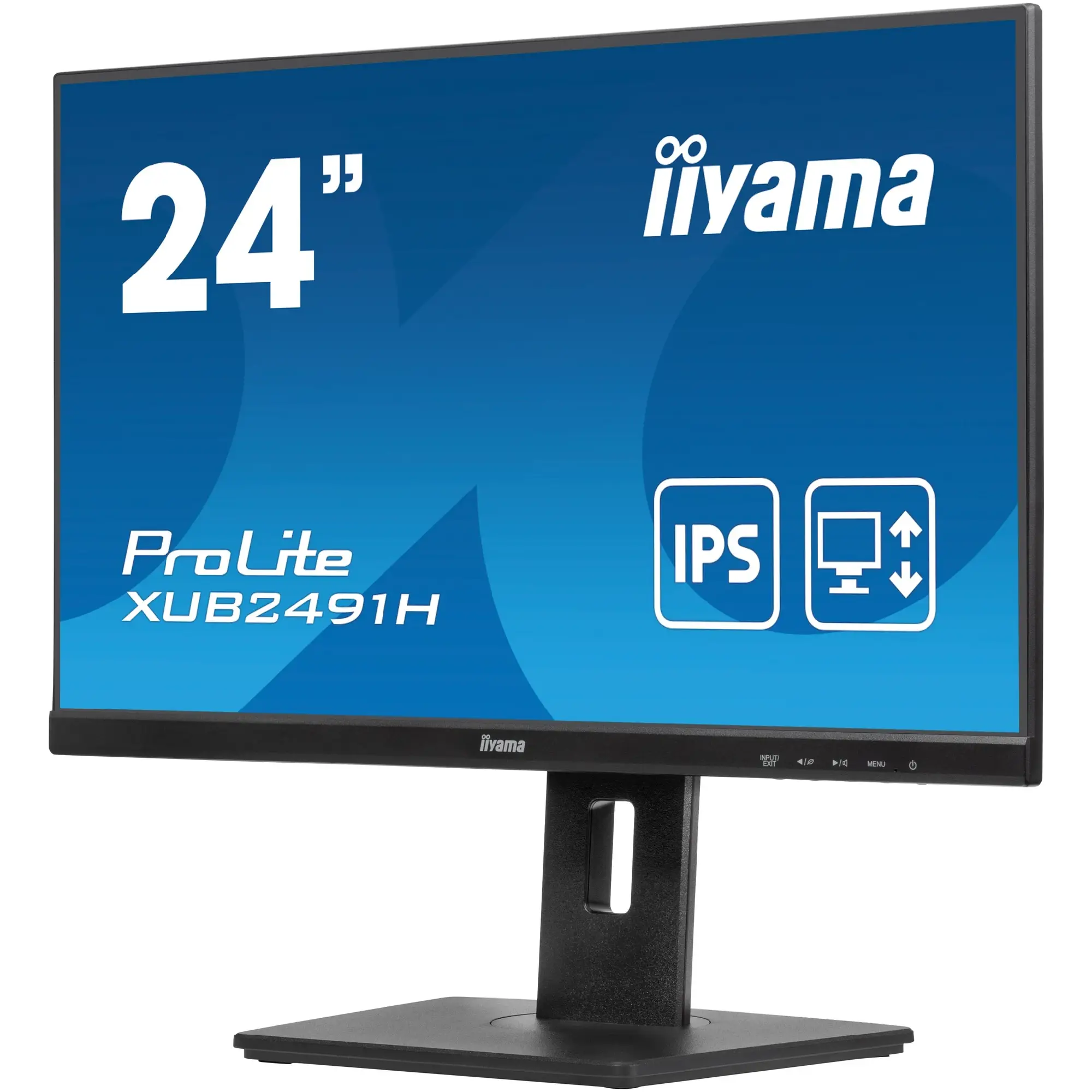Купить Монитор 24" Iiyama ProLite XUB2491H (XUB2491H-B1) - фото 3