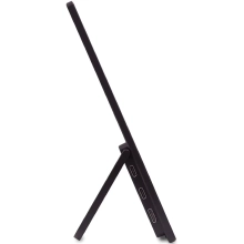 Купить Монитор 16" Acer PM161Wbmiuux (UM.ZP1EE.012) - фото 6