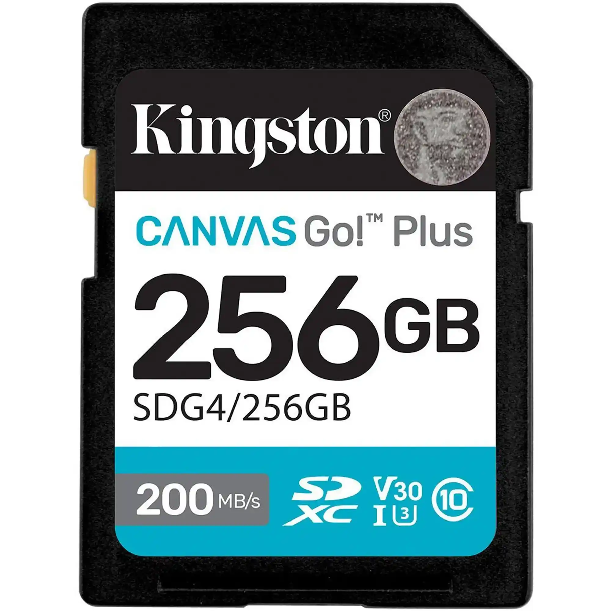 Купити Карта пам'яті Kingston 256GB SDXC сlass 10 UHS-I U3 V30 Canvas Go Plus G4 (SDG4/256GB) - фото 1
