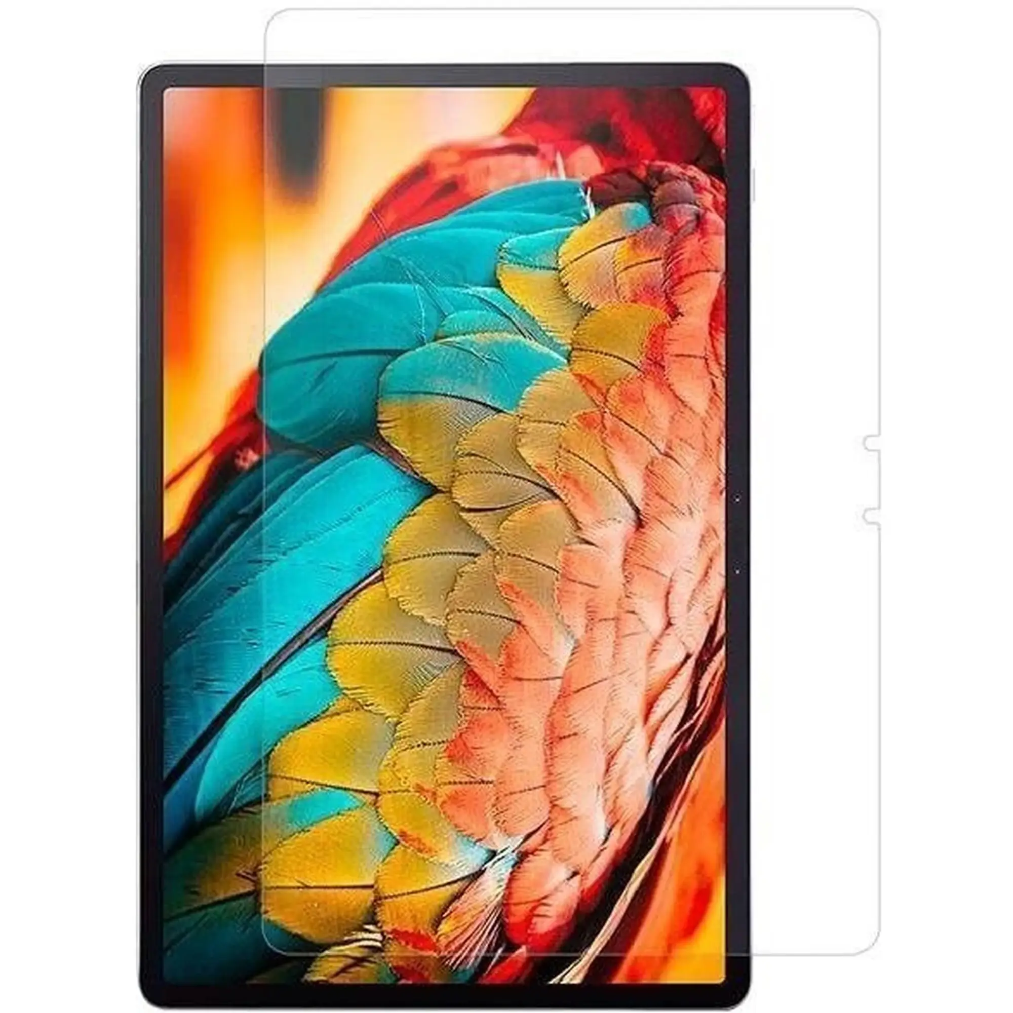 Купити Захисне скло 2E для Lenovo Tab P11 Pro 11.5" (2021) 2.5D Transparent (2E-LN-TABP11P-LT25D-CL) - фото 1
