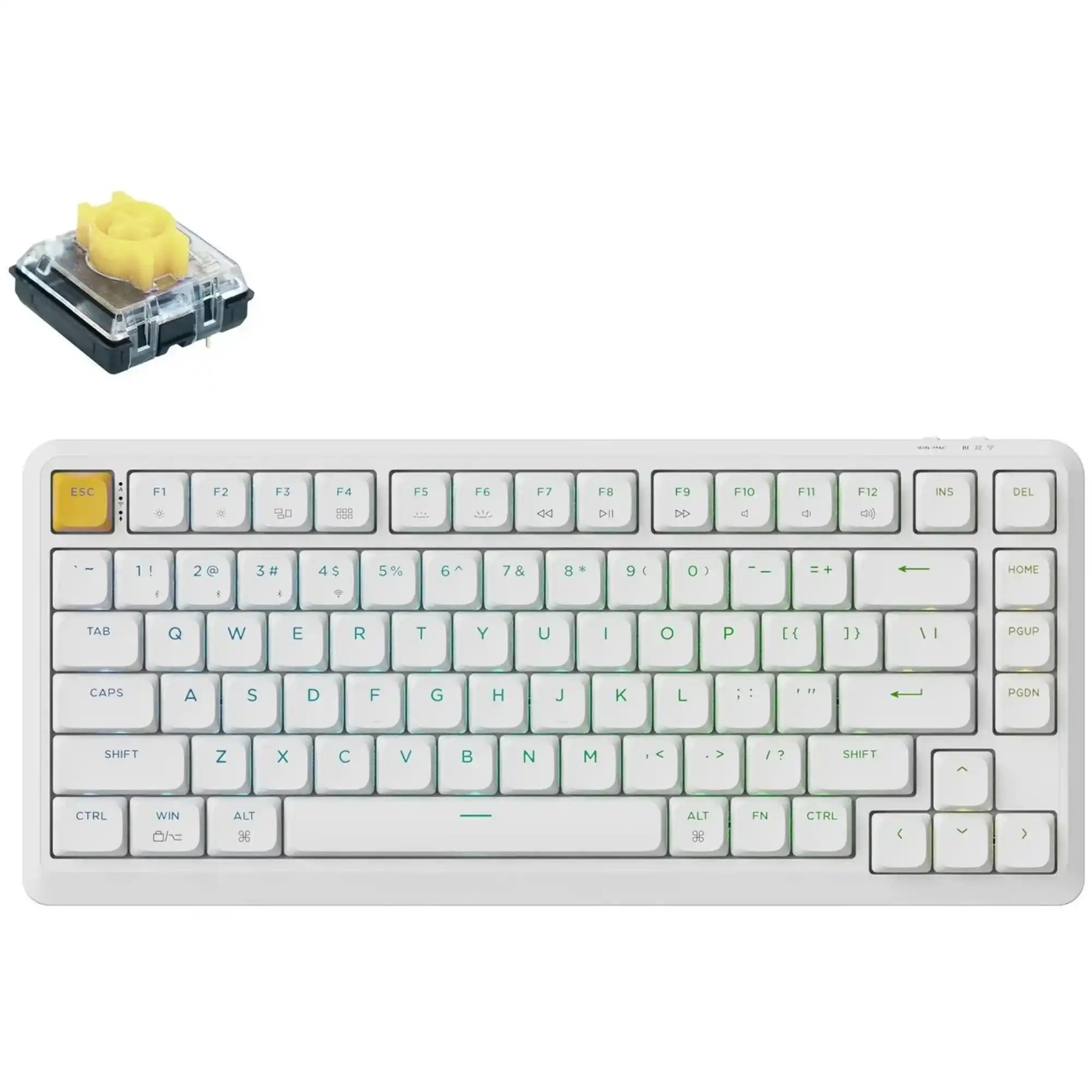 Купити Клавіатура Keychron J1 82 Key RGB K pro Banana White (J1-Q4-UA) - фото 1