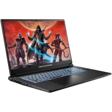 Купить Ноутбук Dream Machines RT5060-17 (RT5060-17UA25) - фото 2