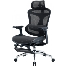 Купити Крісло офісне Sihoo DORO C300L Mesh with footrest Black (DORO-C300L-A3-101-JT) - фото 3