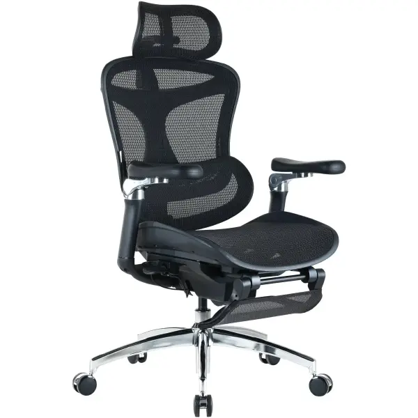 Купити Крісло офісне Sihoo DORO C300 Pro Mesh Black with footrest (DORO-C300-PRO-M101-JT) - фото 2