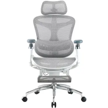 Купить Кресло офисное Sihoo DORO C300 Pro Mesh White with footrest (DORO-C300-PRO-M102-JT) - фото 1