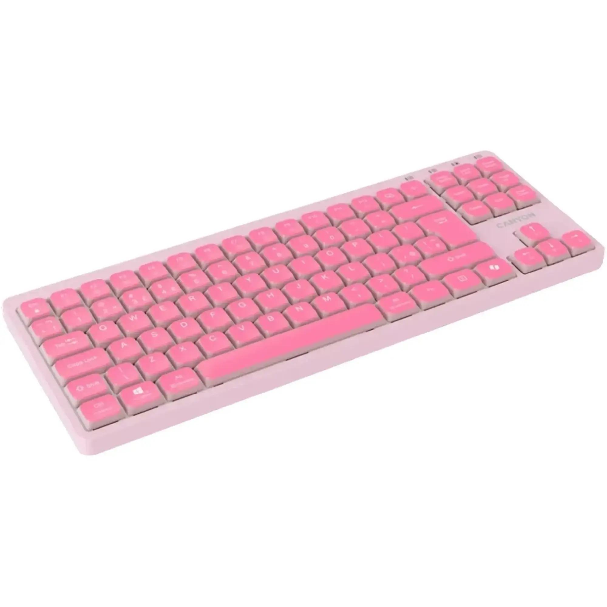 Купить Клавиатура Canyon OnType 10 TKL Mechanical Silent Low-profile USB UA Pink (CNS-HKB10P) - фото 3