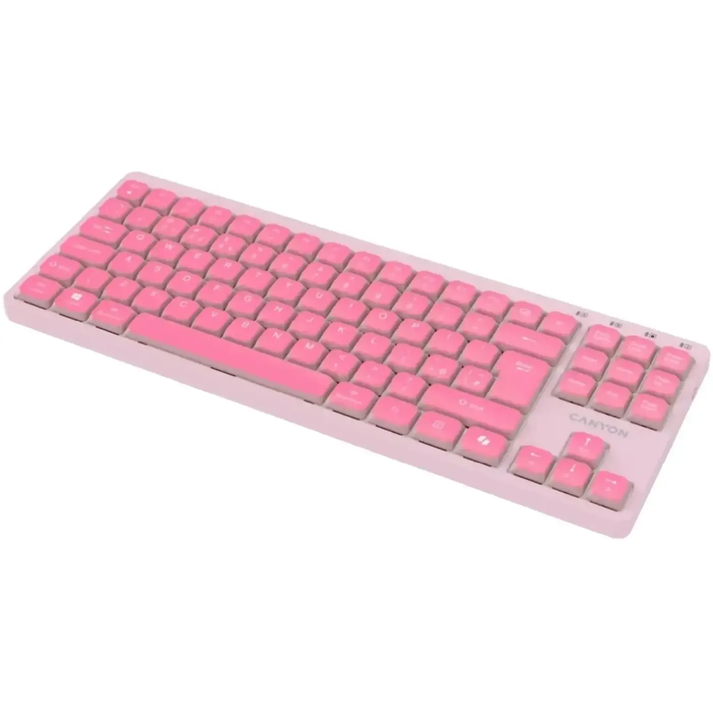 Купить Клавиатура Canyon OnType 10 TKL Mechanical Silent Low-profile USB UA Pink (CNS-HKB10P) - фото 4
