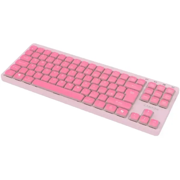 Купить Клавиатура Canyon OnType 10 TKL Mechanical Silent Low-profile USB UA Pink (CNS-HKB10P) - фото 4