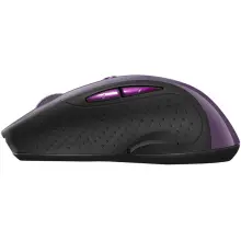 Купити Миша Canyon MW-01 Purple (CNS-CMSW01P) - фото 4