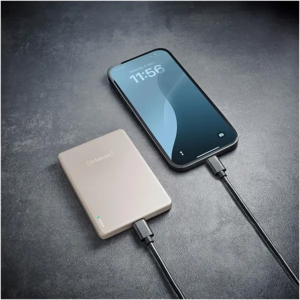 Купить Павербанк УМБ Intenso MW5000 5000mAh 20W Champagne (7344021) - фото 8