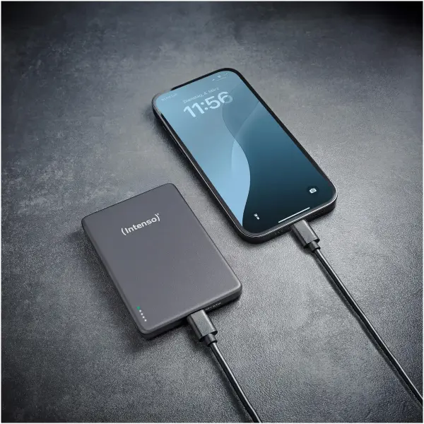 Купить Павербанк УМБ Intenso MW5000 5000mAh 20W Grey (7344024) - фото 8