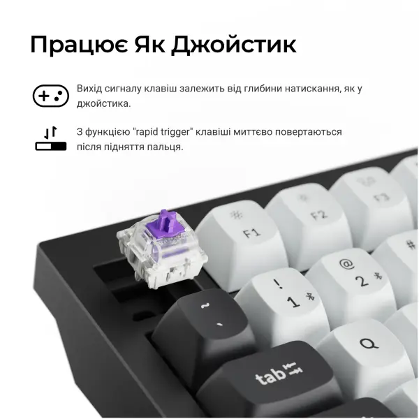 Купити Клавіатура Keychron Q1 HE Magnetic Switch Black RGB (Q1H-M1-UA) - фото 9