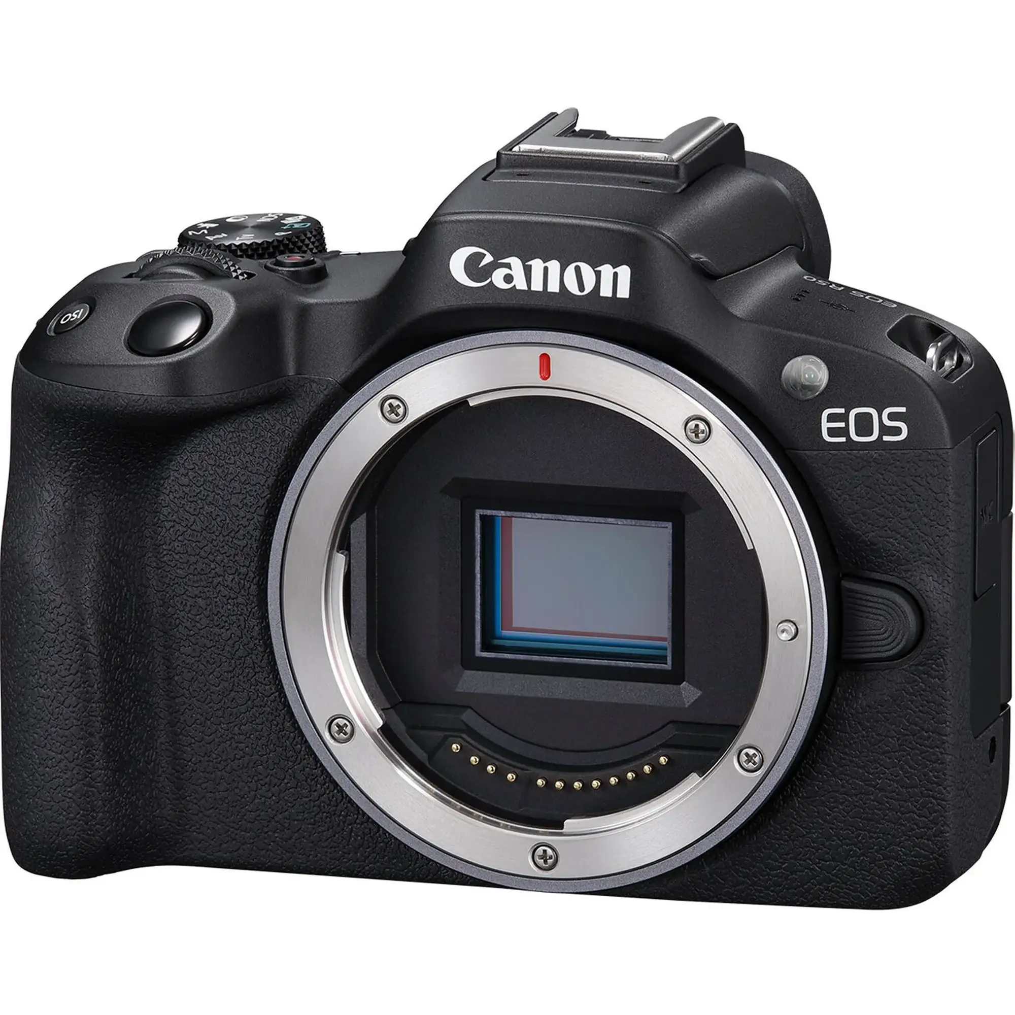 Купить Фотоаппарат Canon EOS R50 + RF-S 18-45 IS STM + RF75-300 IS STM Black (5811C150) - фото 2