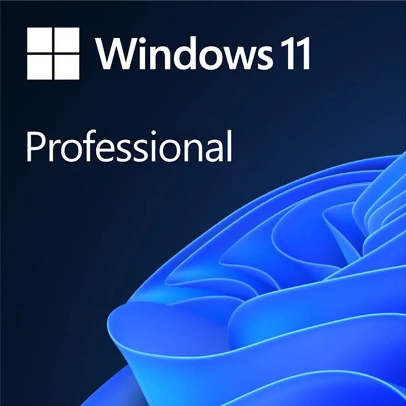 Купити ПЗ Windows 11 Pro High-end 64-bit електронна DOEM (MUP-00005) - фото 1
