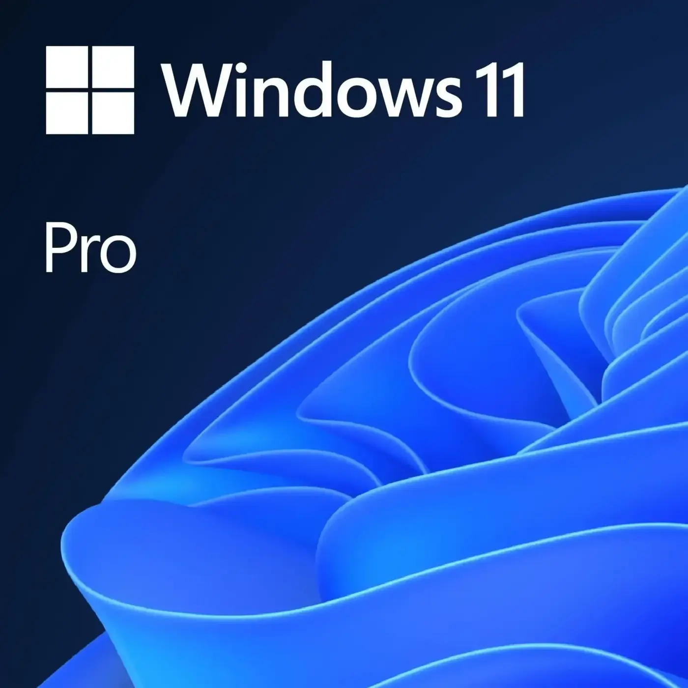 Купити ПЗ Windows 11 Pro Standard 64-bit електронна DOEM (FQC-10428) - фото 1