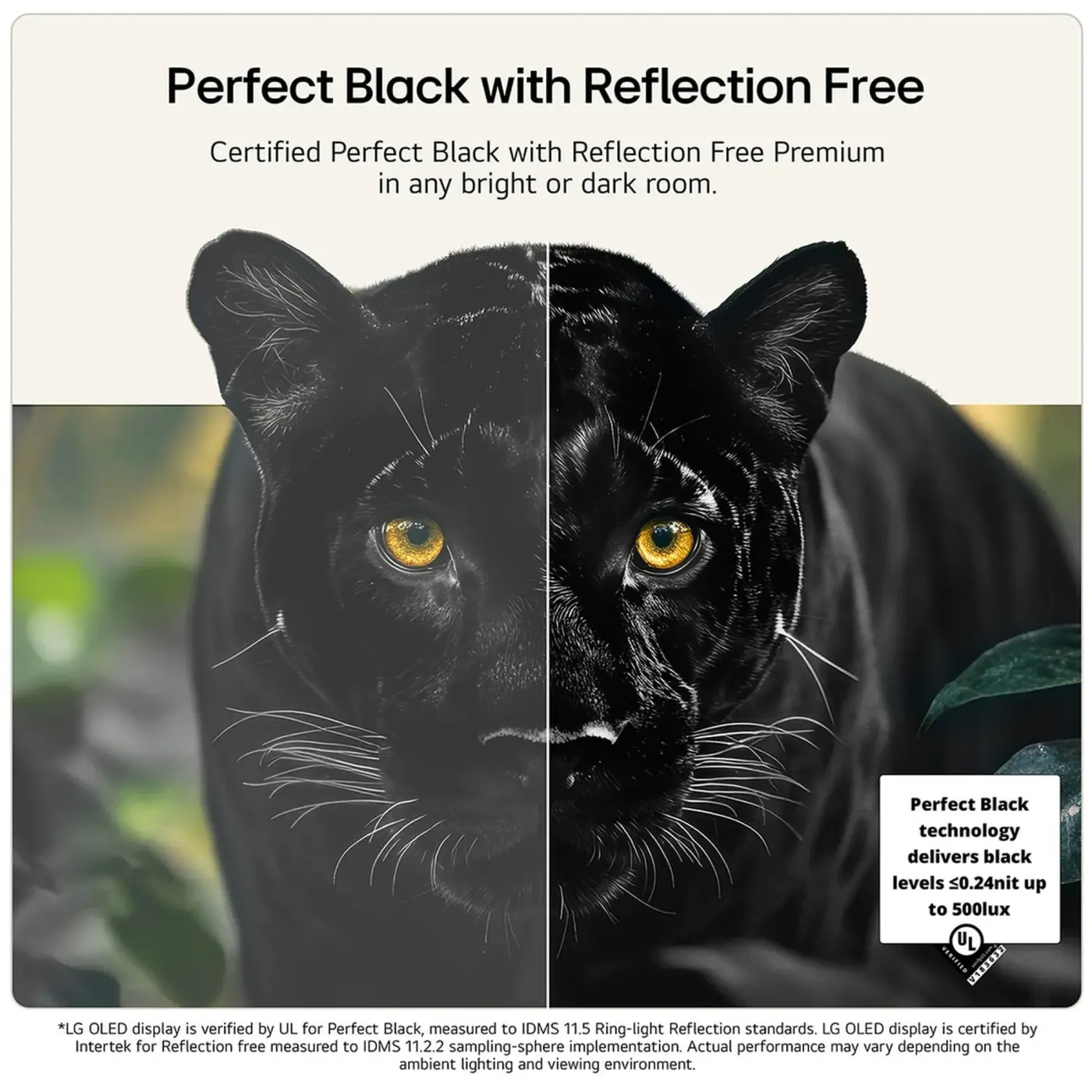 Купить Телевизор LG OLED OLED55G64LW - фото 4