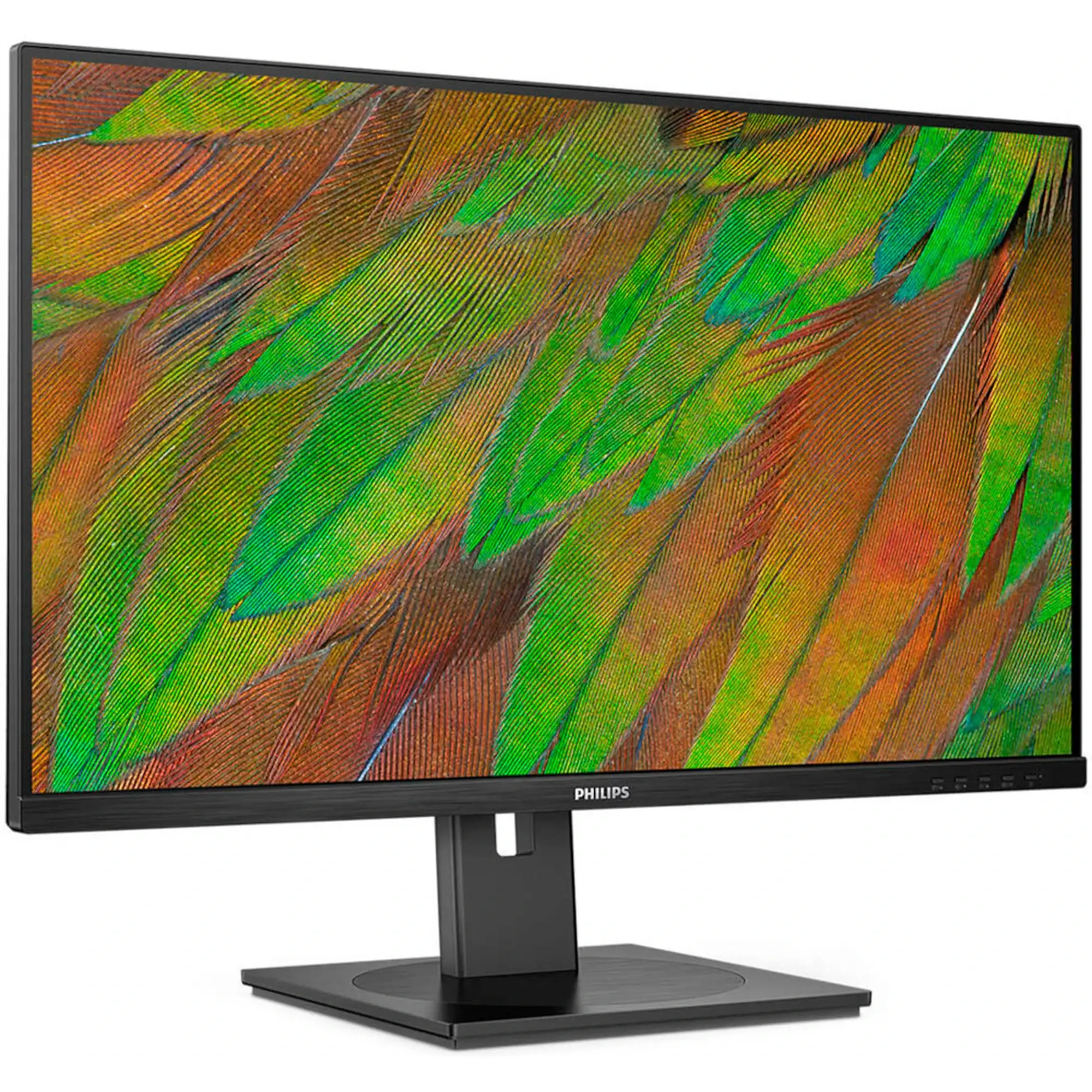 Купити Монітор 32" Philips 32B1N3800 (32B1N3800/00) - фото 2