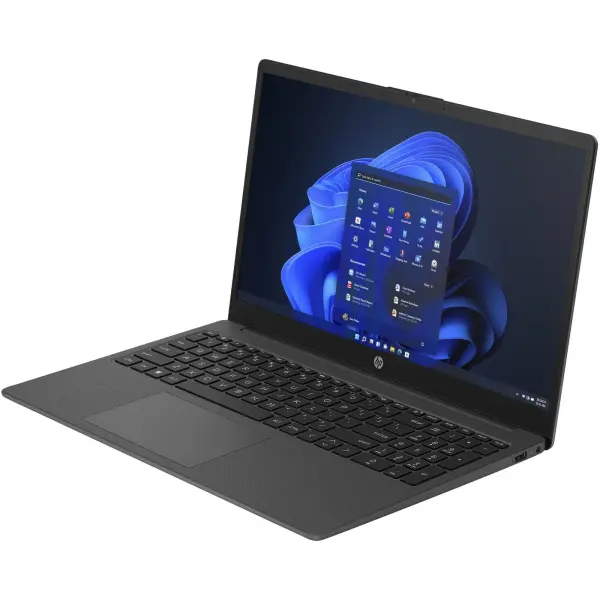Купить Ноутбук HP 255R G10 (D4VF2ET) - фото 3